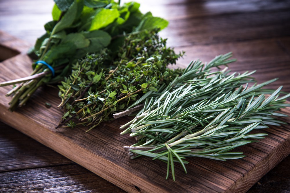 11 Kräuter für Deine Küche Gesund und würzig CODECHECK.INFO