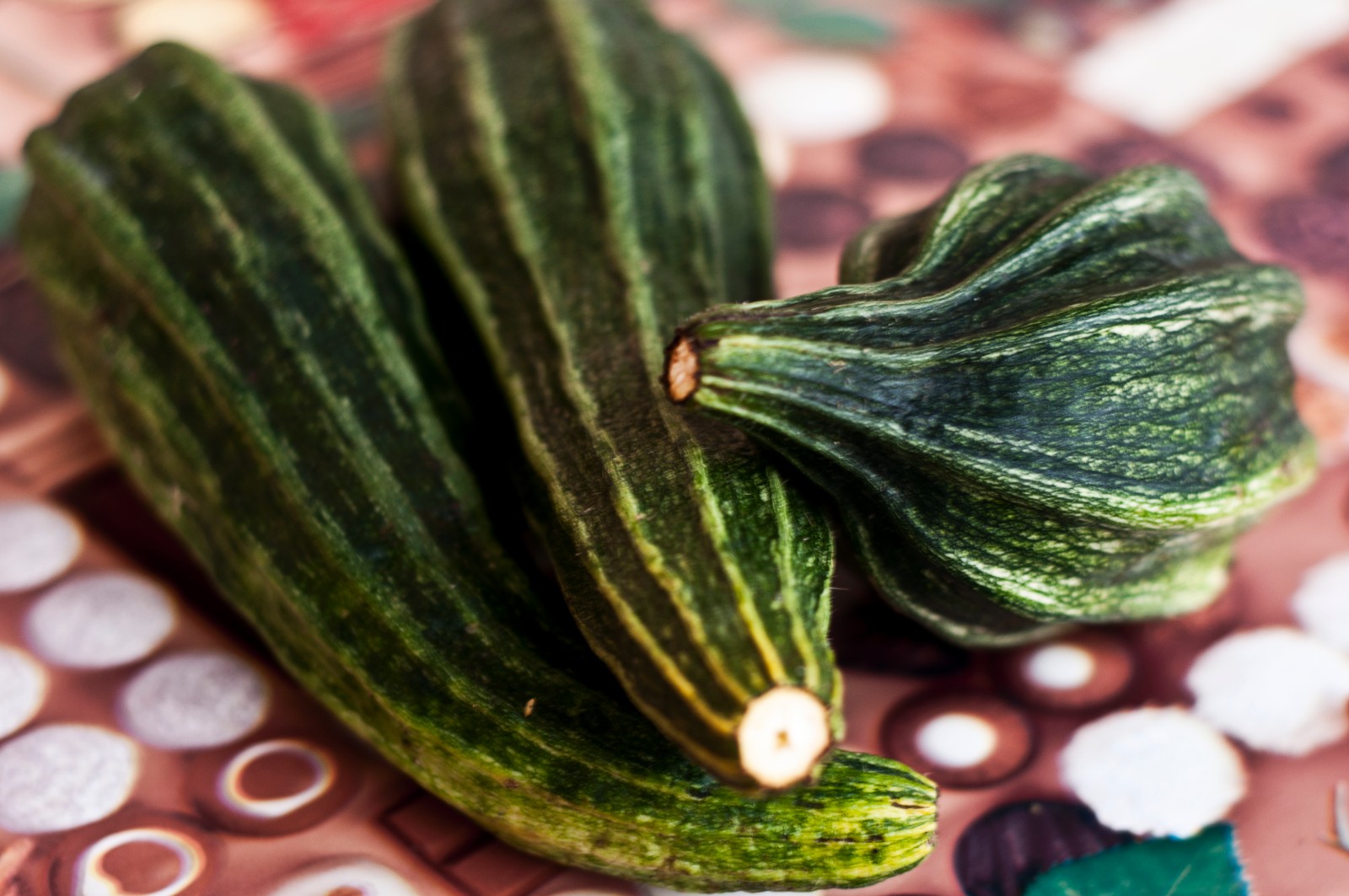 Wieso du keine bittere Zucchini essen darfst Tödlicher Vorfall