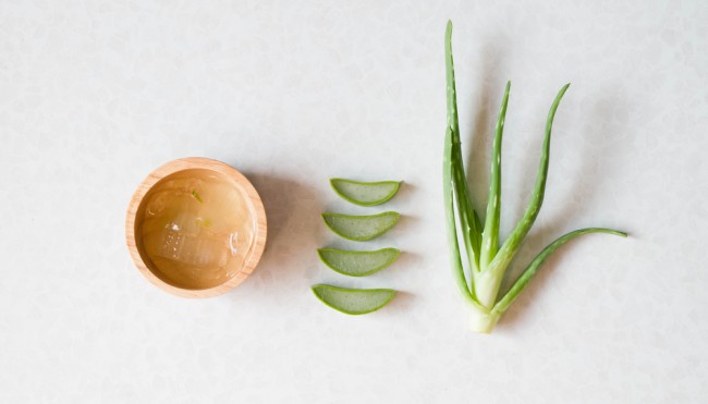 Aloe Vera