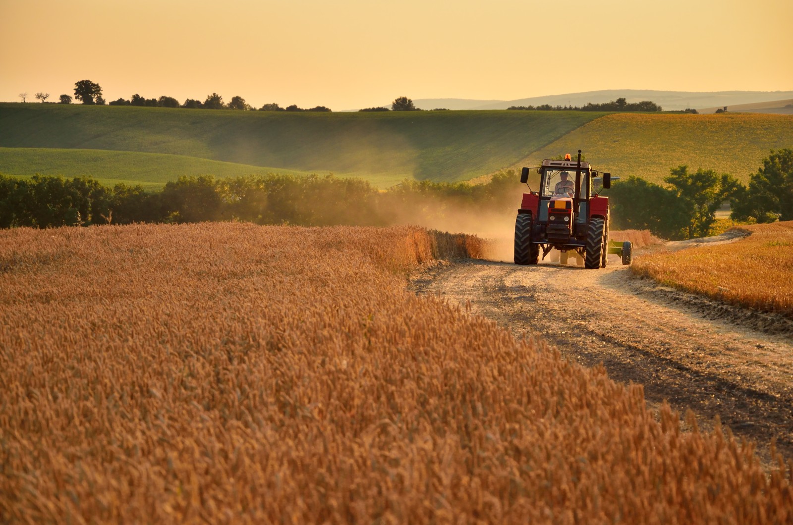 CodeCheck - Konventionelle Landwirtschaft verursacht Artenschwund
