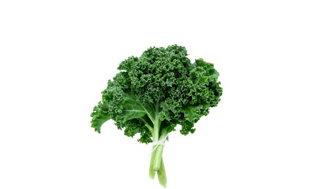 Grünkohl
