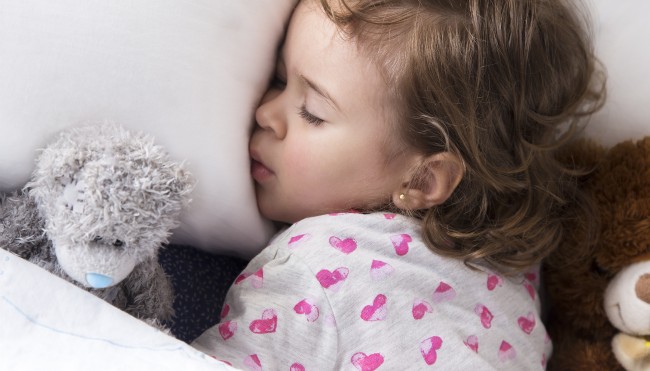 Kuscheltiere krebserregend