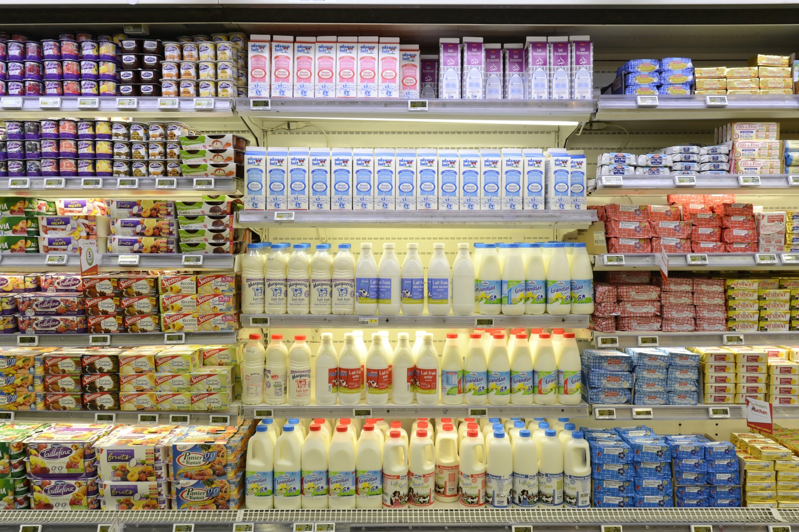 Milchprodukte im Test - Die Milch macht's – | ||| | || CODECHECK.INFO