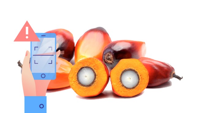 Palmöl CodeCheck-App