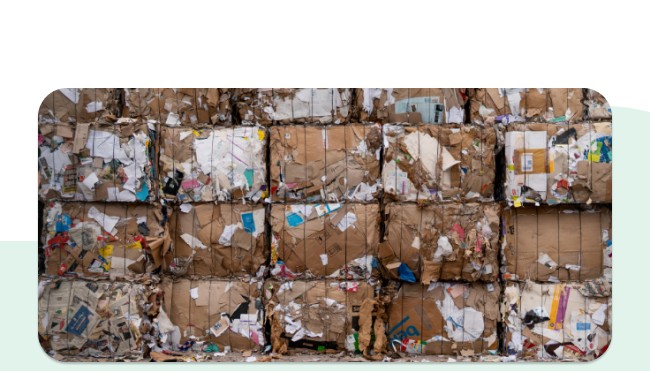 Warum und wie Du jetzt Papiermüll sparen solltest - Tonne schon voll ...