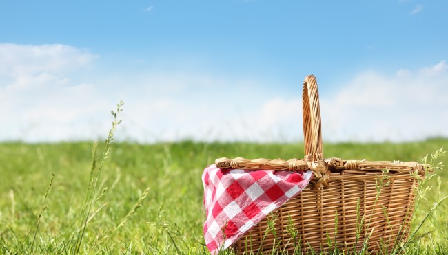 Picknick im Sommer