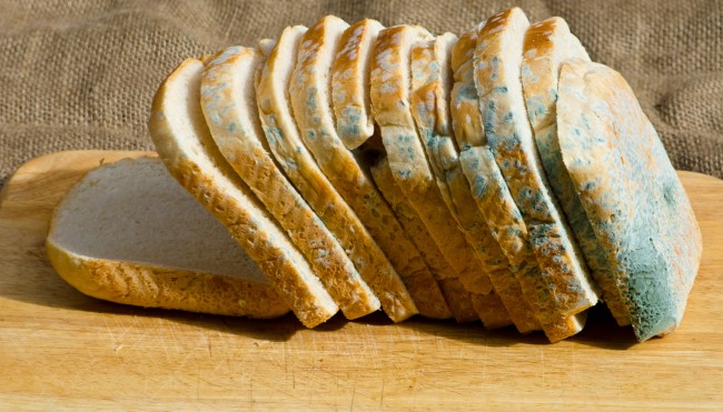 Schimmliges Brot