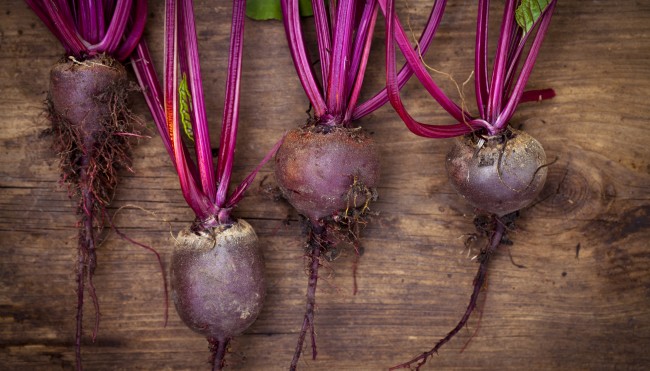 3 leckere Rezepte für Rote Bete - Saisonale Vitaminbombe ...