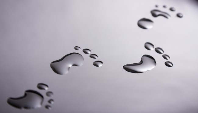 Wasserfüßchen