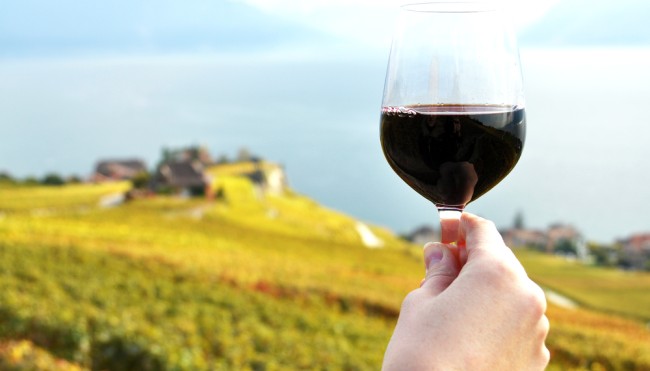 Wein