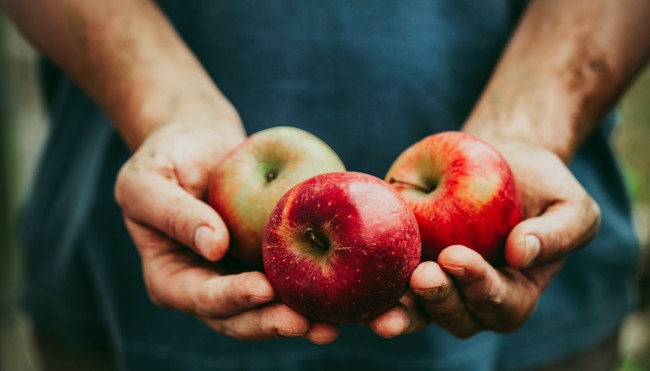 apfel 2