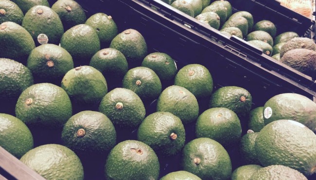 avocado