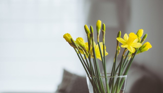 blumen