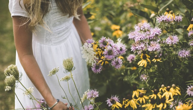 blumen