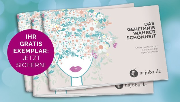 guide 2015 promo 624x356