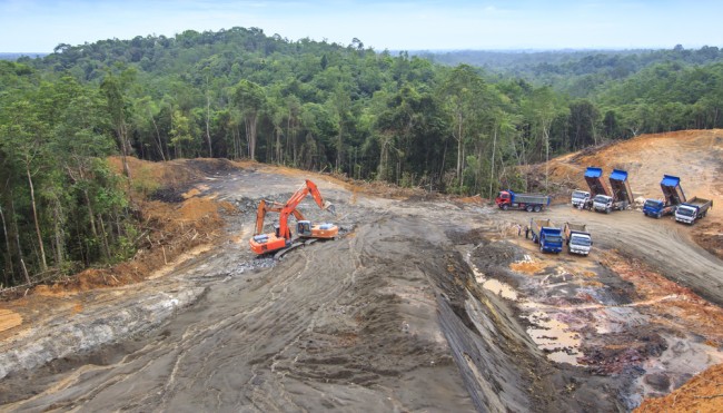 Borneo-Orang-Utan vom Aussterben bedroht - „Weltnaturschutzunion