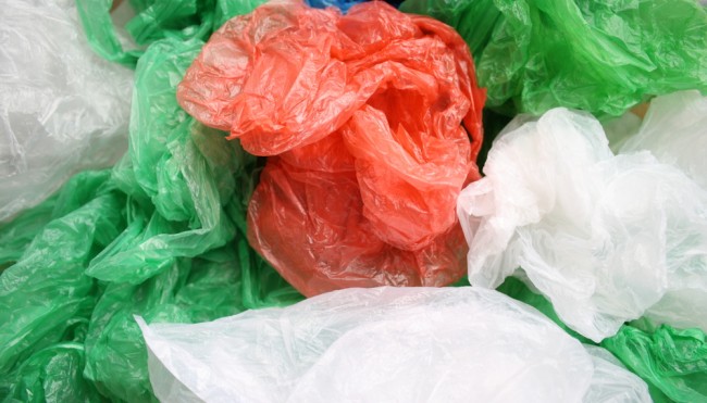 Indiens Hauptstadt Neu-Dehli verbietet Einweg-Plastik - Im Kampf gegen