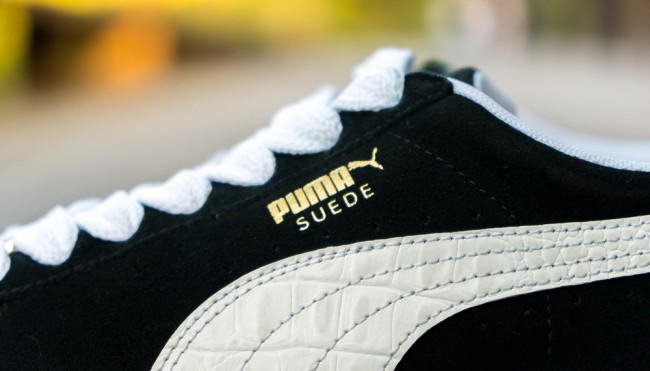 puma2