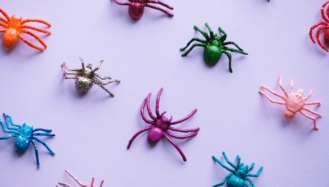 rawpixel-653775-unsplash Kopie