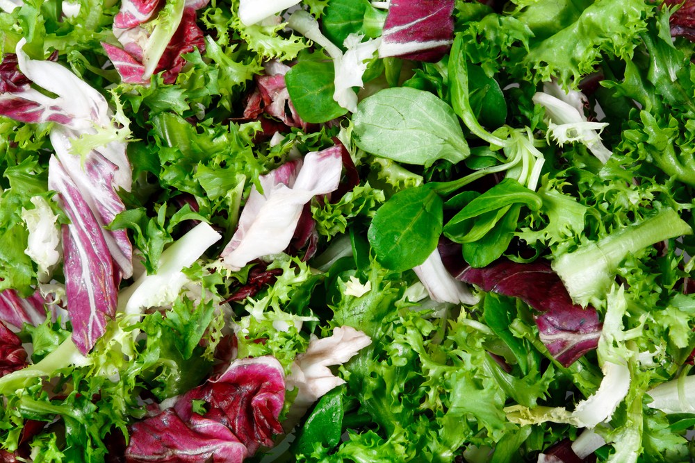 So gesund sind die unterschiedlichen Salatsorten - Feldsalat