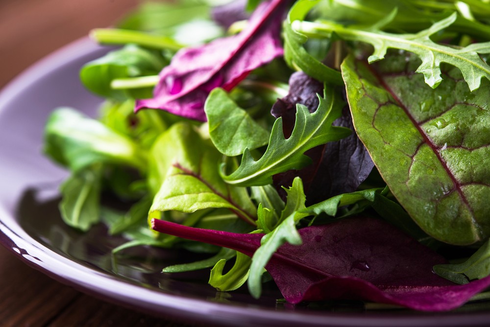 Welche Nahrstoffe Sind In Salat Das sind die gesündesten Salate - Chinakohl, Chicorée, Mangold