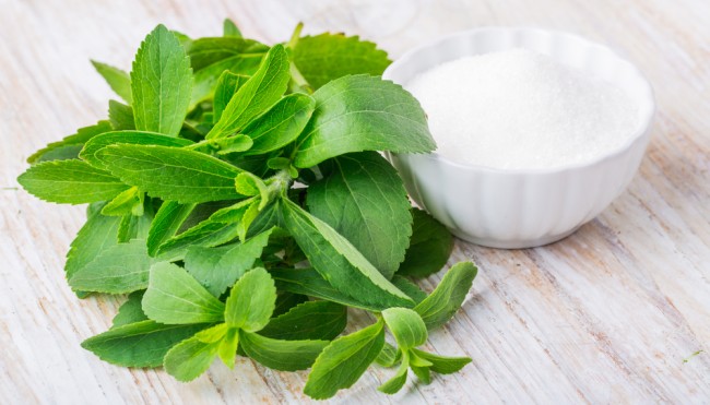 macht stevia fett